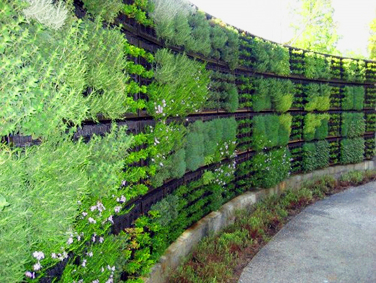 Inspirasi pagar  dengan tanaman 1000 Inspirasi Desain 