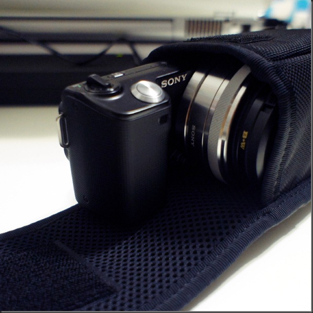 SONY DSC                       