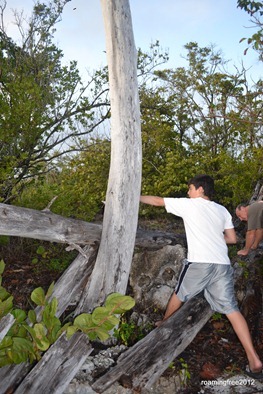 Where is that geocache?