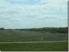 IMG_1767
