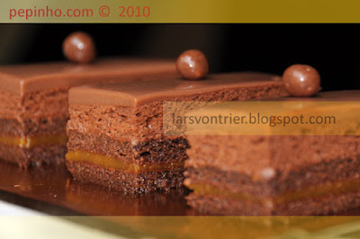 Mousse de chocolate con albaricoque