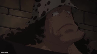ワンピース アニメ 1131話 ネタバレ 感想 ひとときの幸せ くまちーとジニー ONE PIECE Episode 1131