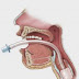 Achtergrond informatie: Endotracheale intubatie en RSI(I)