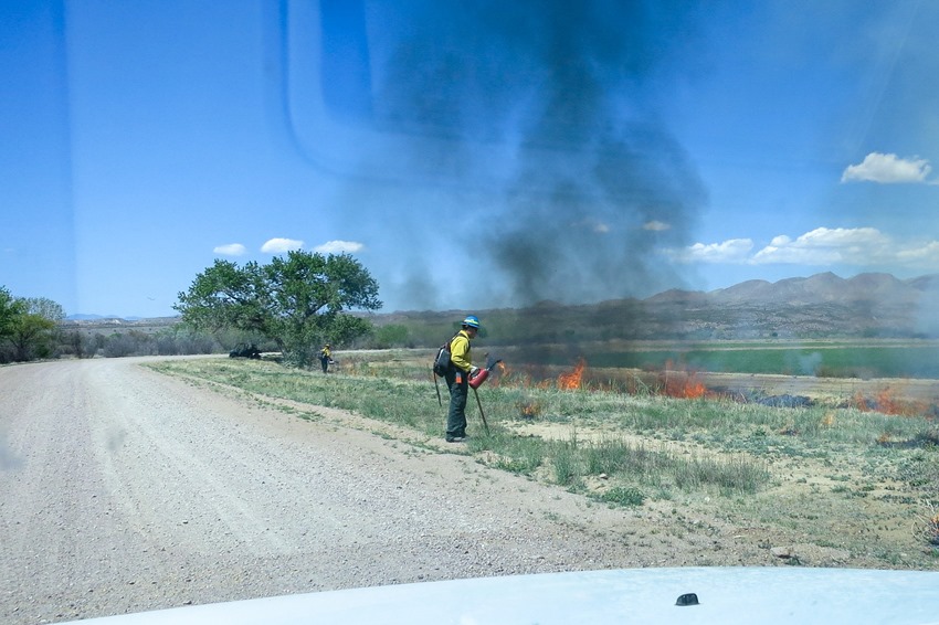 Bosque North Loop Controlled Burn  IMG_7924