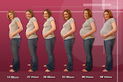 A real pregnancy progression, hurray! (click to enlarge) (pregnancy progression)