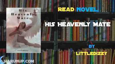 His Heavenly Mate Novel