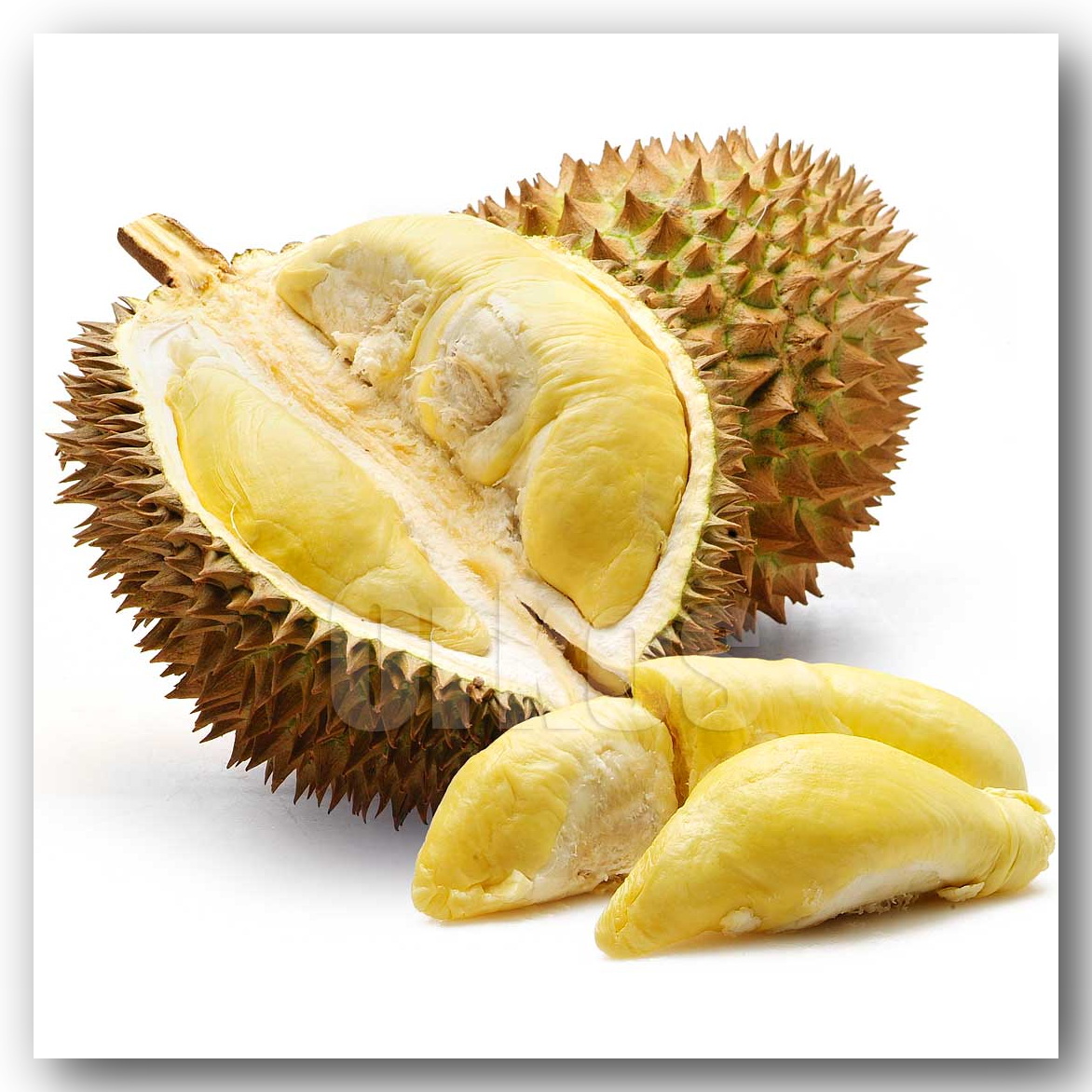 Manfaat Buah  Durian  Biologi HEPTA BIOLOGI