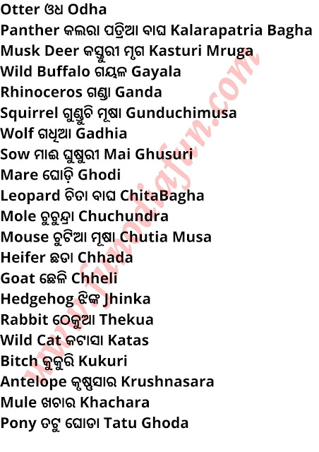 all animals name in Odia and english pasu pakhi mananka odia o english name