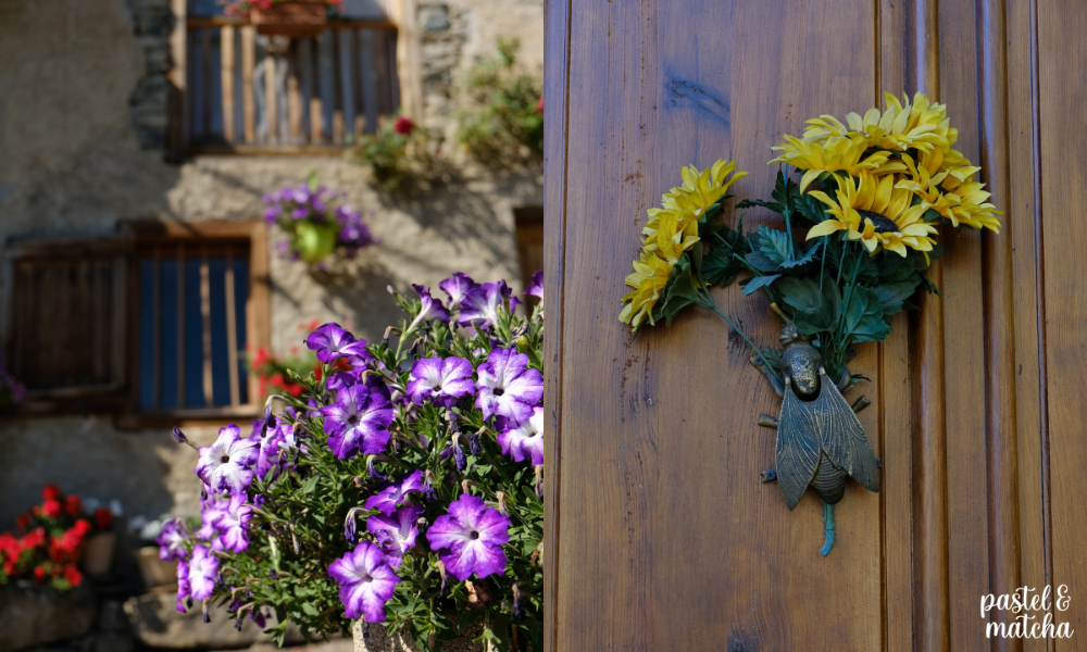 Des fleurs près des maisons