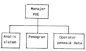 Gambar 5 Organisasi departemen PDE yang kecil