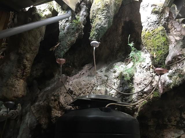 Natural caves in Dagang Mountains, Kaohsiung, Taiwan