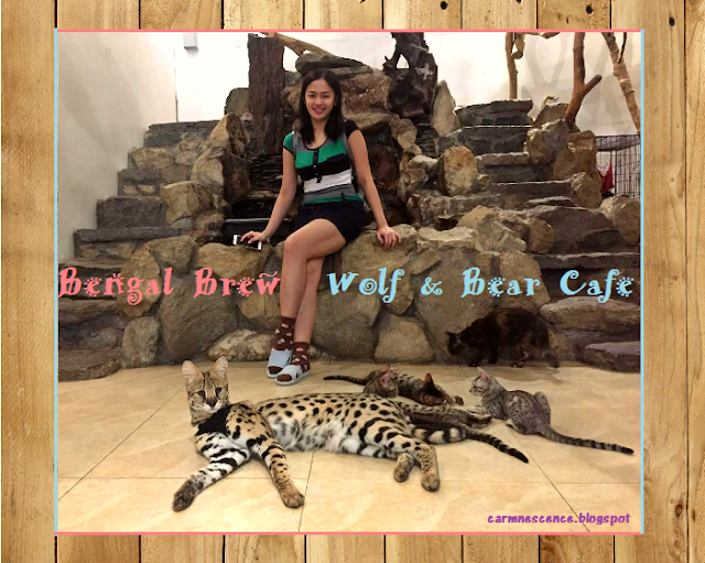 Bengal Brew Cat cafe/Wolf & Bear Dog Cafe carmnescence