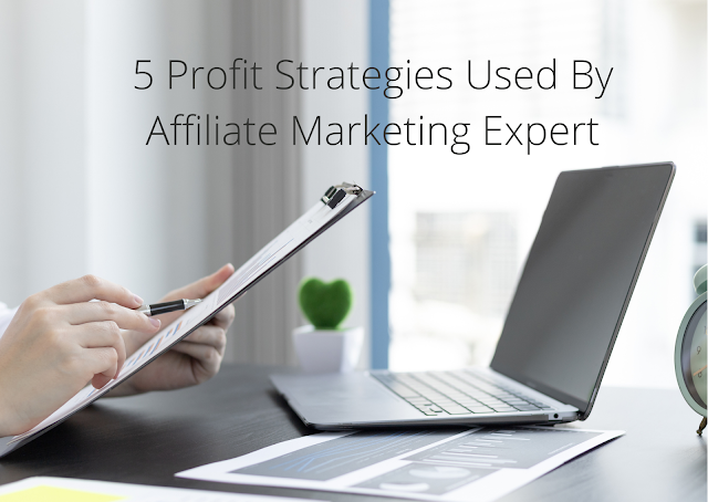 Gigi Catalin Neculai - 5 Profit Strategies Used By Affiliate Marketing Expert