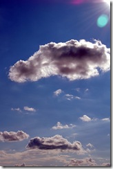 DSC_0481_edited