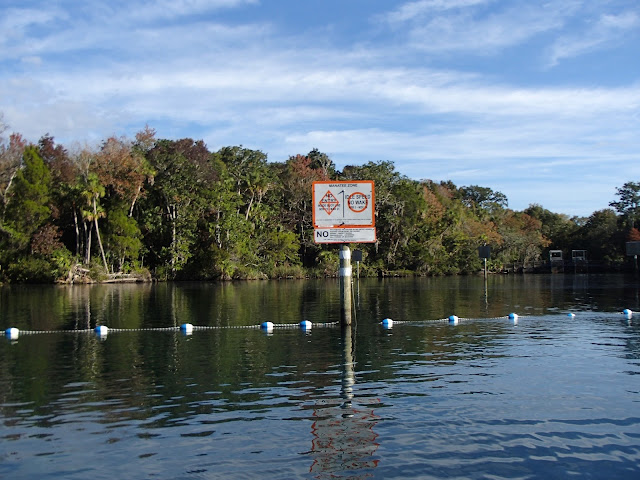 manatee sanctuary