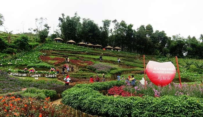 Kutabawa Flower Garden, Purbalingga