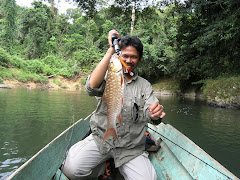 Asikin catch red sappan