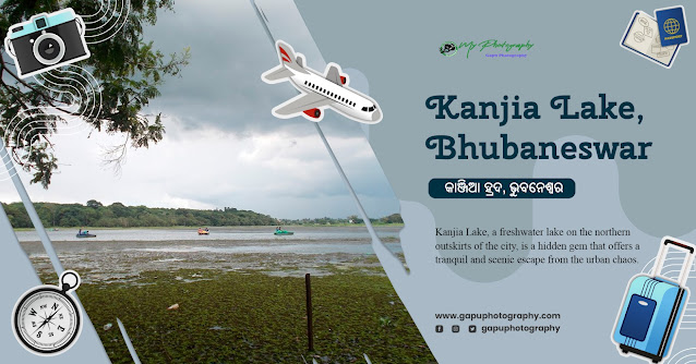 Kanjia Lake: A Natural Wonder in Bhubaneswar