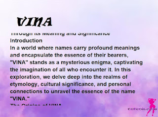meaning of the name "VINA"