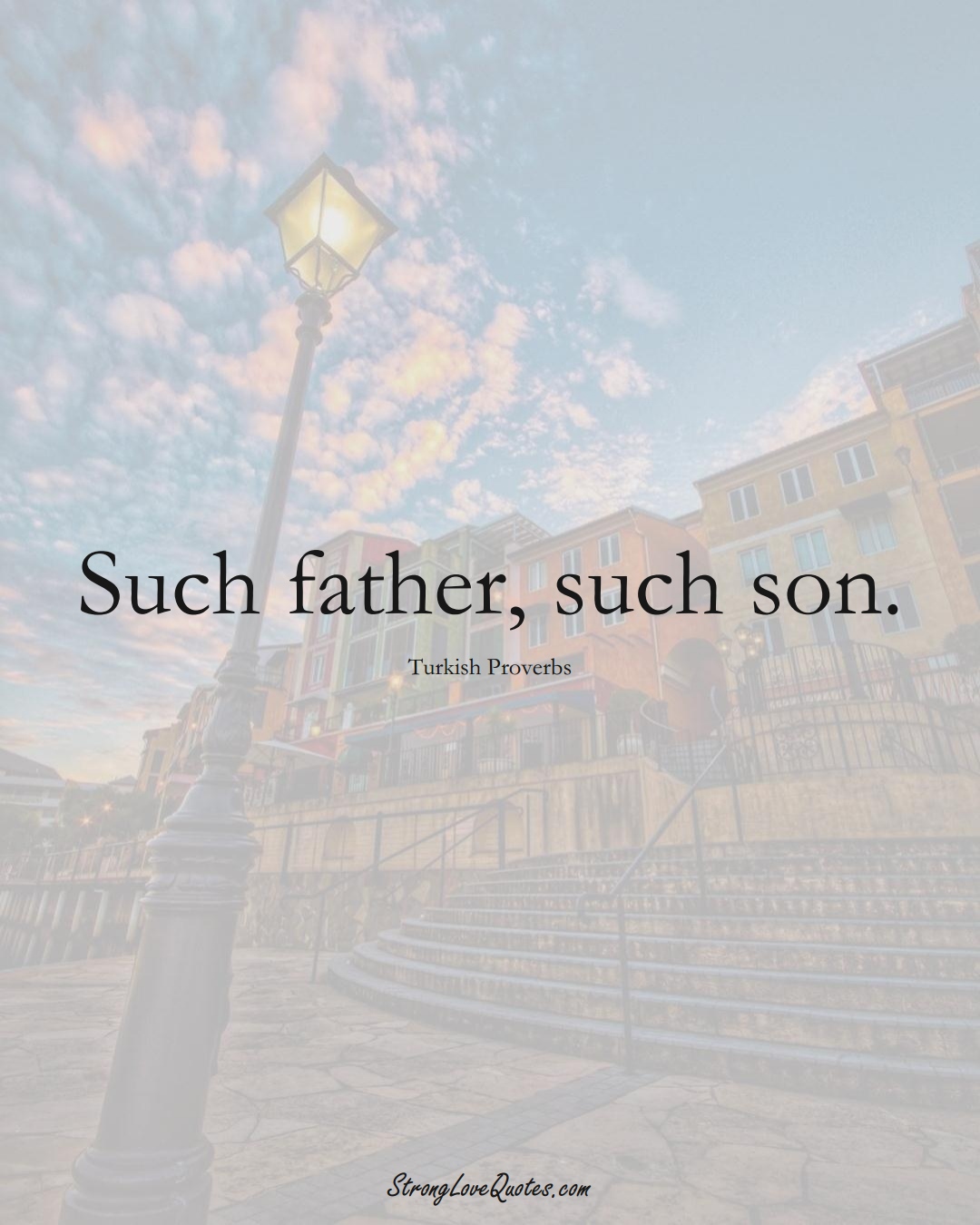 Such father, such son. (Turkish Sayings);  #MiddleEasternSayings