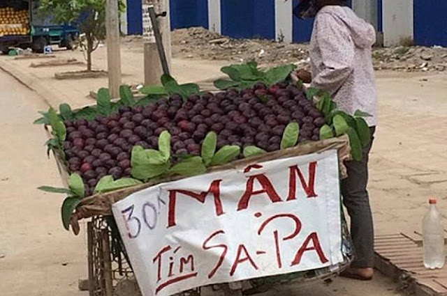 Mận đen