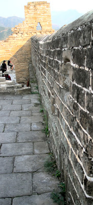 plants in cracks in the Great Wall