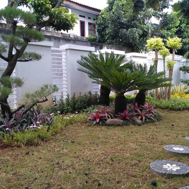 Tukang taman surabaya