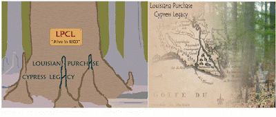 Louisiana Purchase Cypress Legacy