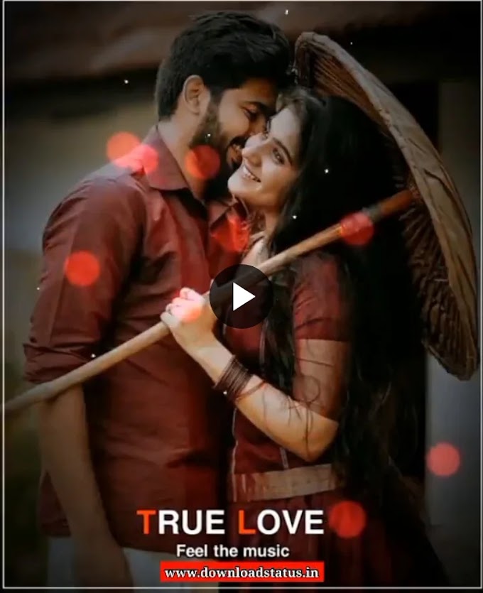 True Love Romantic Whatsapp Status Video Download - Love, Romantic Short Videos