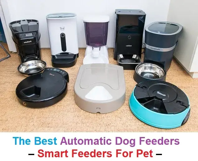 The Best Automatic Dog Feeders – Smart Feeders For Pet