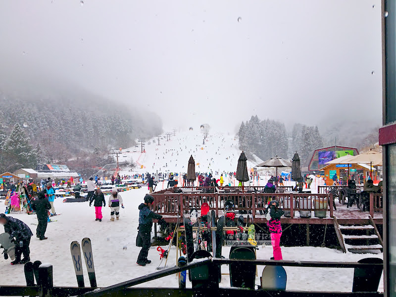 meiho snow resort,岐阜滑雪場