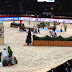 Sneak Peek: Pappas Amadeus Horse Indoors 2013