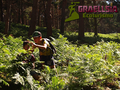 Campamento de verano en la naturaleza