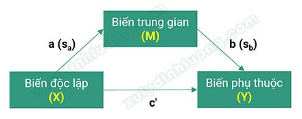 Biến trung gian mediator trong SPSS