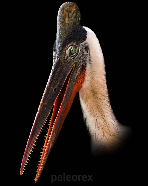 Птеродактиль (Pterodactylus)