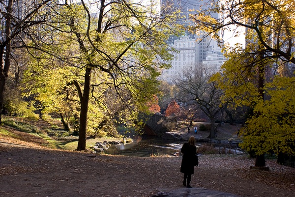 central park.jpg