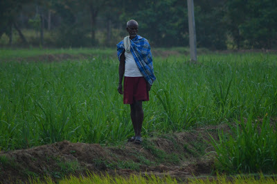 Nagalapuram West trekking.