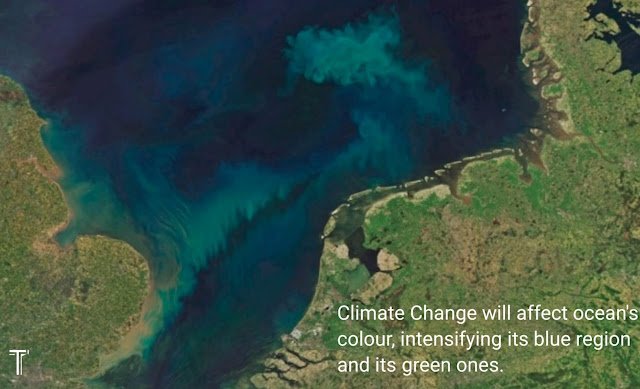 Image: NASA Earth Observatory