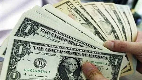 البنك الأهلي المصري يطلق شهادتين جديدتين بالدولار الأمريكي