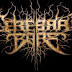 Profil Cerebral Bore