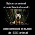 Consejos de Civismo