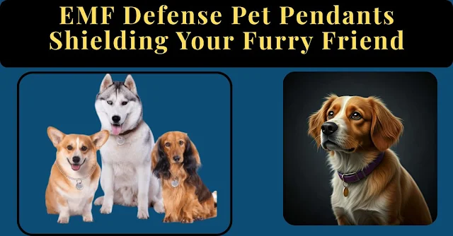 EMF Defense Pet Pendants: Shielding Your Furry Friend, The Ultimate Guide