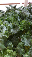 Siberian Kale