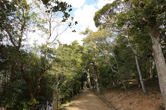 島根県松江市内中殿町 松江城 堀沿いの遊歩道