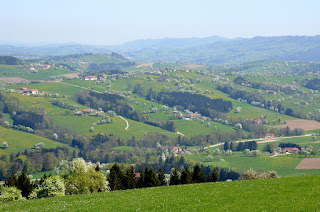 Bild vom blühenden Mostviertel. Entlang der Panoramastraße stehen zahlreiche Apfel- und Birnbäume in voller Blüte.