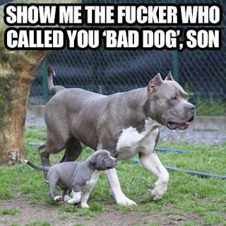 SHOW ME THE FUCKER WHO  CALLED YOU 'BAD DOG; SON