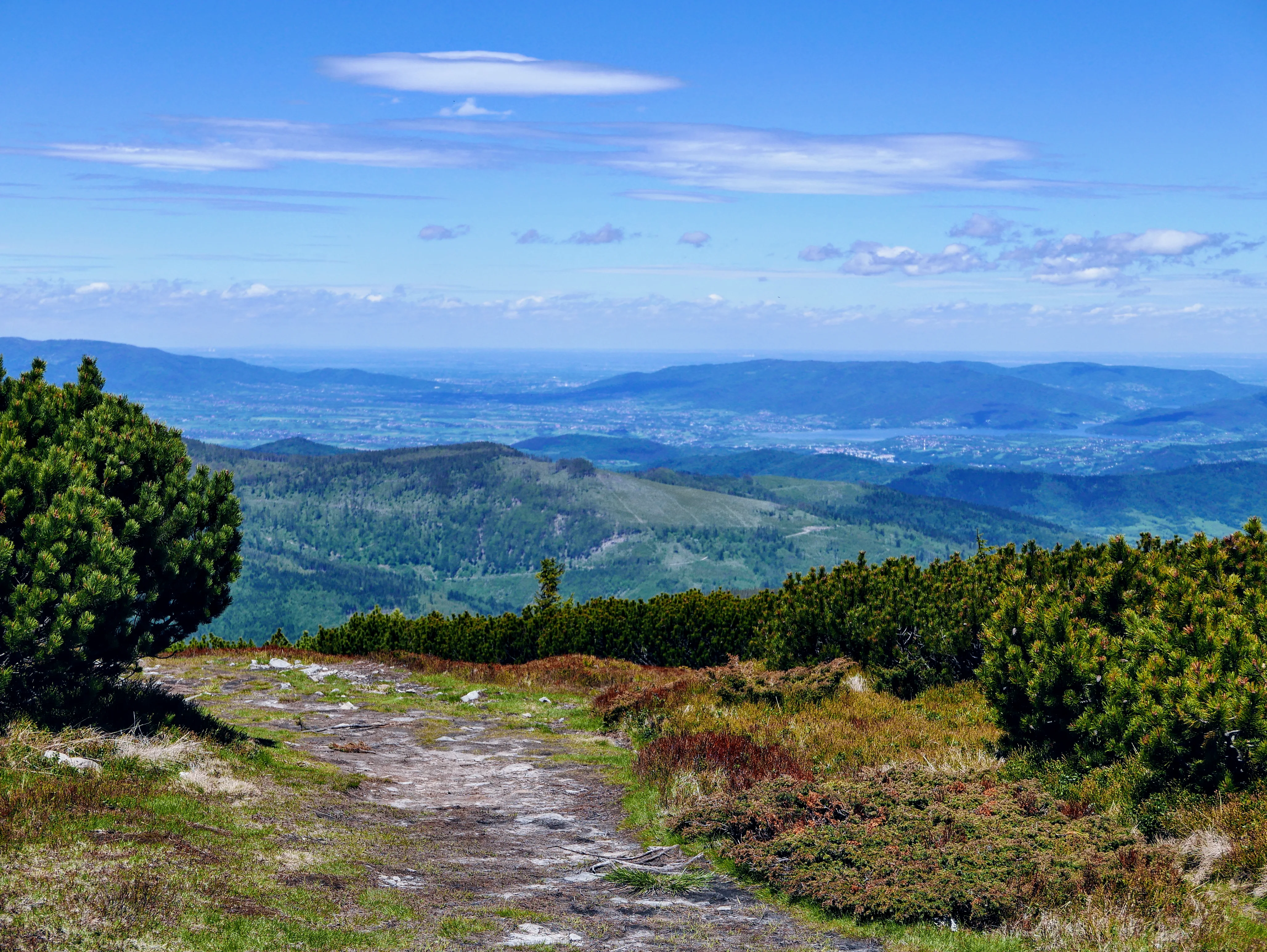 Beskid Żywiecki: Pilsko 1557 m n.p.m.