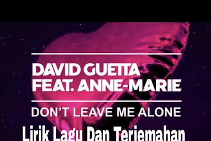 Lirik Lagu dan Terjemahan Don’t Leave Me Alone – David Guetta ft Anne Marrie 