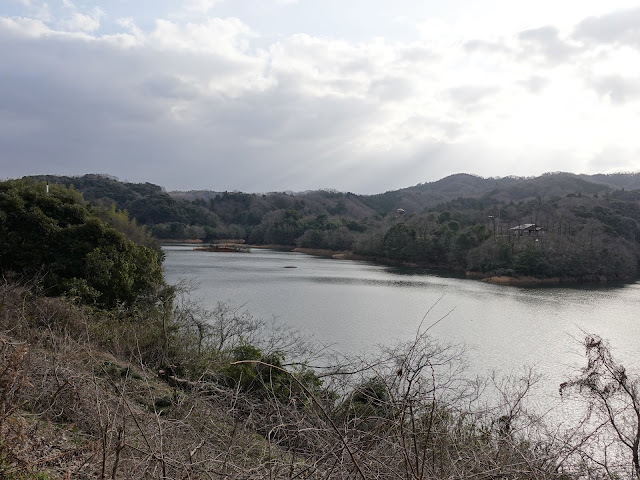 鳥取県道180号伯耆溝口停車場線　緑水湖の眺望