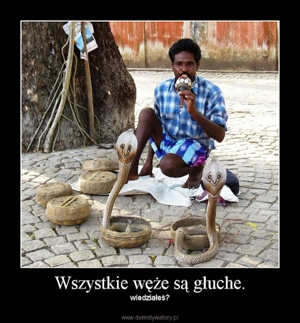 Węże są głuche